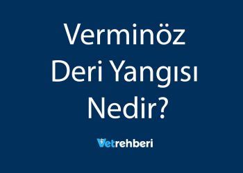 Verminöz Deri Yangısı Nedir?
