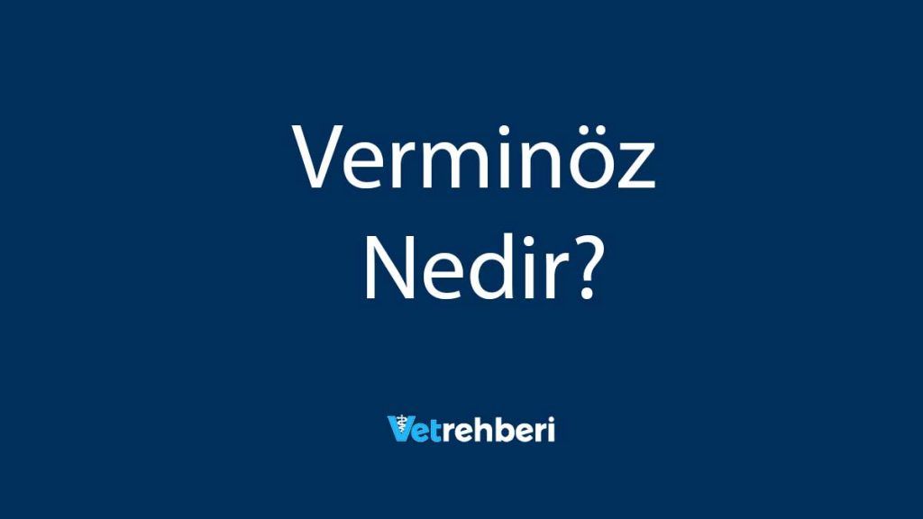 Verminöz Nedir?