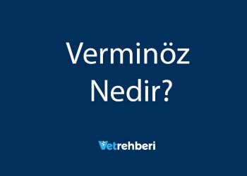 Verminöz Nedir?