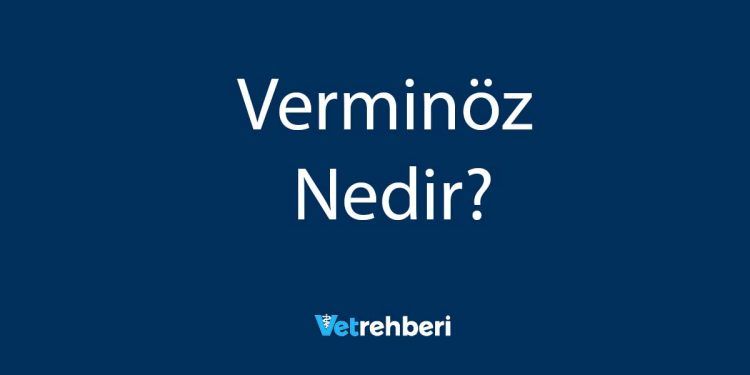 Verminöz Nedir?