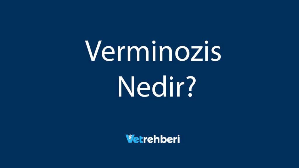 Verminozis Nedir?