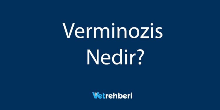 Verminozis Nedir?