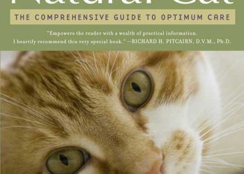 Doğal Kedi: Optimum Bakım İçin Kapsamlı Kılavuz