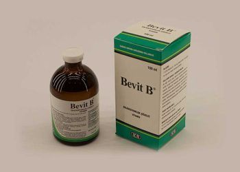Bevit B