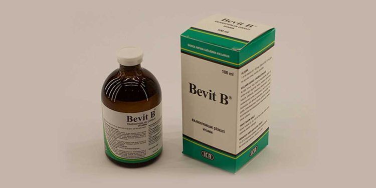 Bevit B