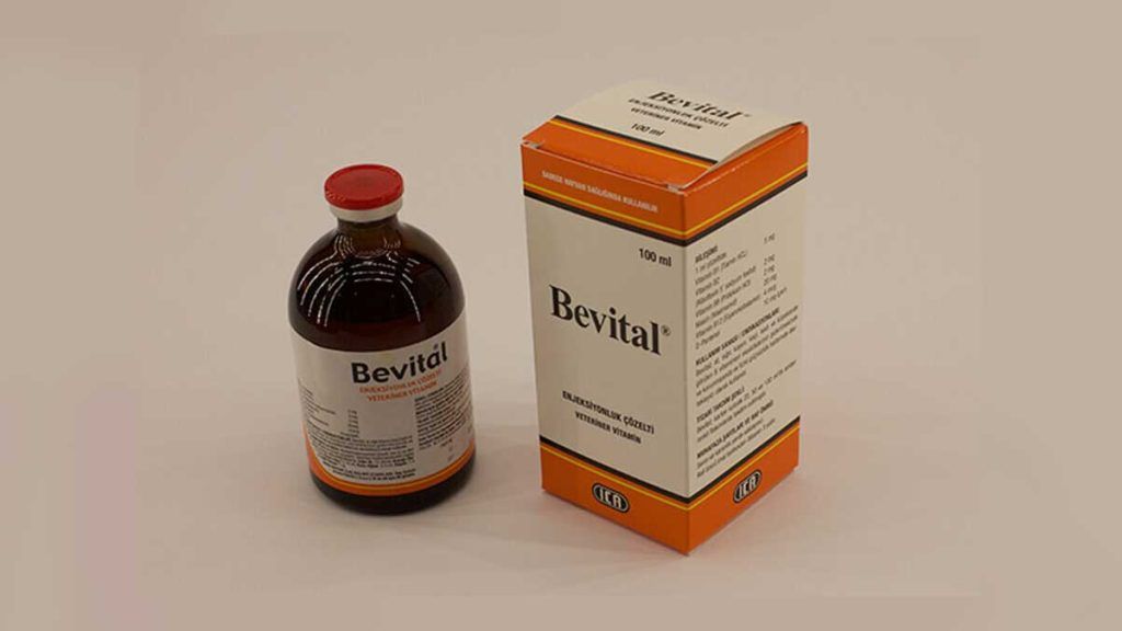 Bevital