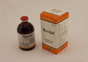 Bevital