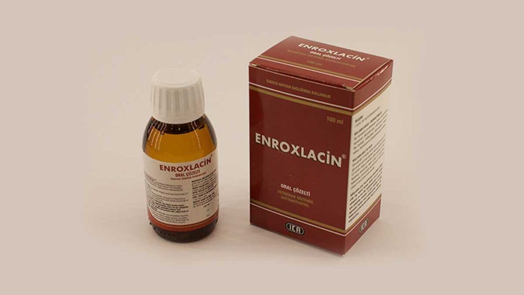 Enroxlacin Oral Çözelti