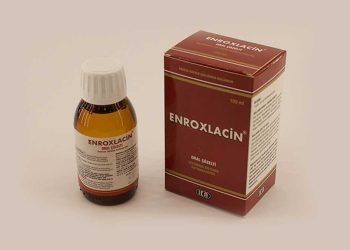Enroxlacin Oral Çözelti