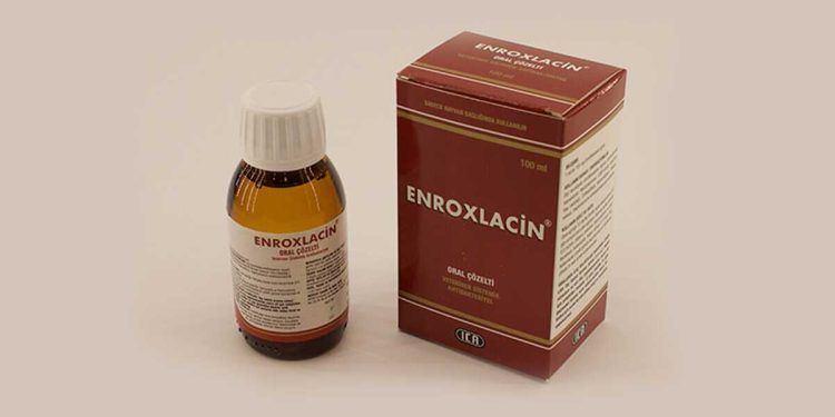 Enroxlacin Oral Çözelti