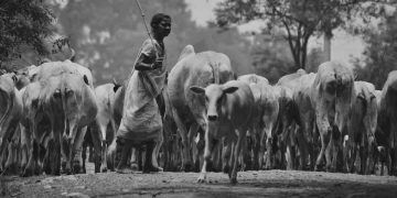 Eski Hindistan'da Veteriner Hekimlik Mesleği