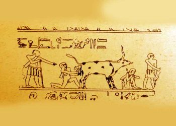 Eski Mısır’da Veteriner Hekimlik Mesleği