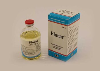 Florac