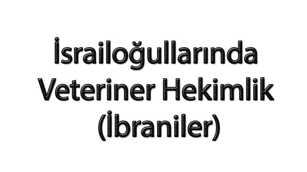 İsrailoğullarında Veteriner Hekimlik (İbraniler)