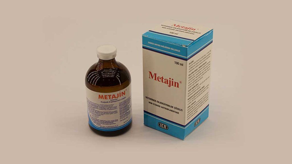 Metajin