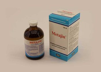 Metajin