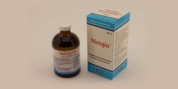 Metajin