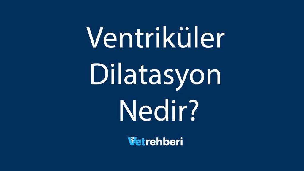 Ventriküler Dilatasyon Nedir?