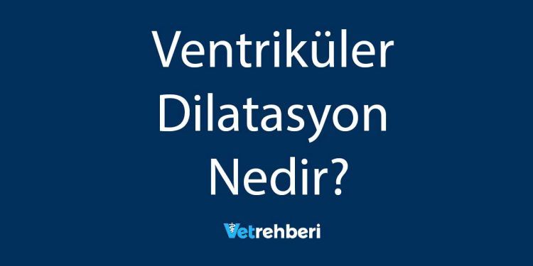 Ventriküler Dilatasyon Nedir?