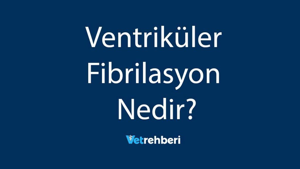 Ventriküler Fibrilasyon Nedir?