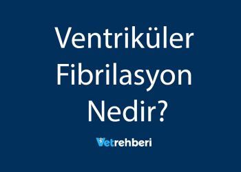 Ventriküler Fibrilasyon Nedir?