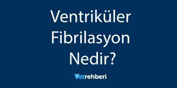 Ventriküler Fibrilasyon Nedir?