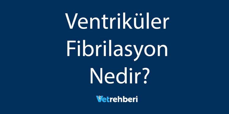 Ventriküler Fibrilasyon Nedir?