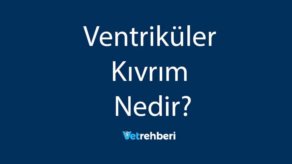 Ventriküler Kıvrım Nedir?