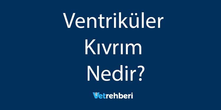 Ventriküler Kıvrım Nedir?