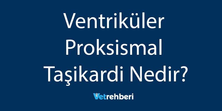 Ventriküler Proksismal Taşikardi Nedir?