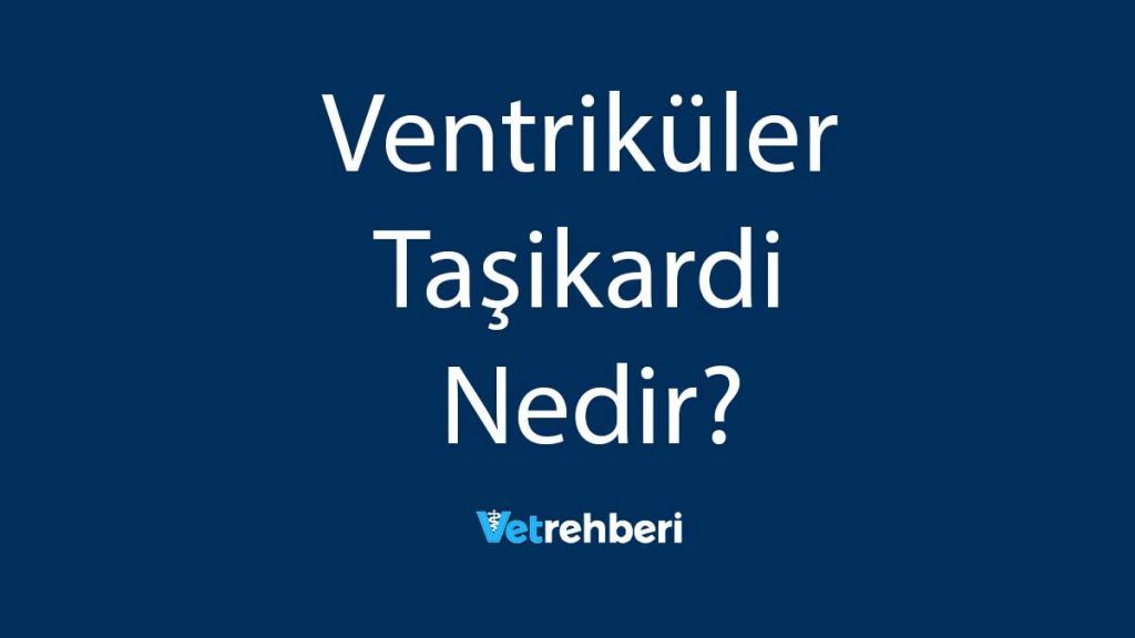 Ventriküler Taşikardi Nedir?