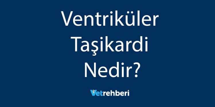 Ventriküler Taşikardi Nedir?