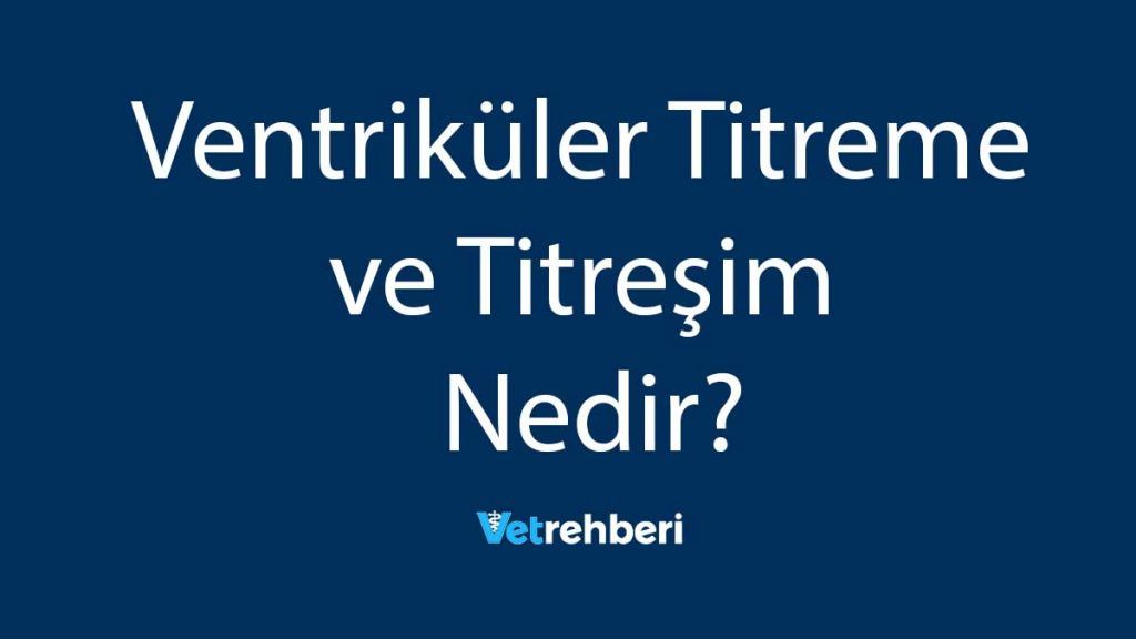 Ventriküler Titreme ve Titreşim Nedir?