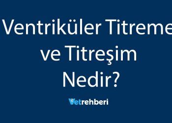 Ventriküler Titreme ve Titreşim Nedir?