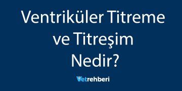 Ventriküler Titreme ve Titreşim Nedir?