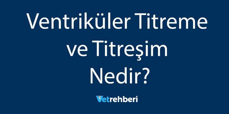 Ventriküler Titreme ve Titreşim Nedir?