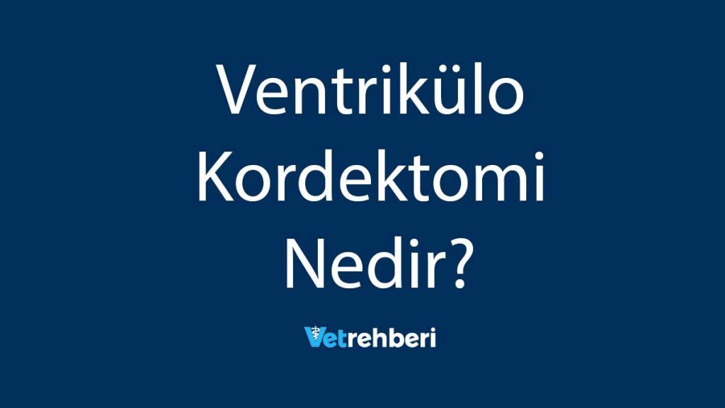 Ventrikülo Kordektomi Nedir?