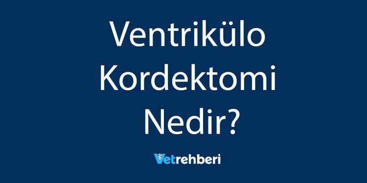 Ventrikülo Kordektomi Nedir?