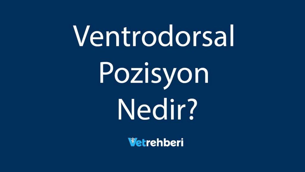 Ventrodorsal Pozisyon Nedir?