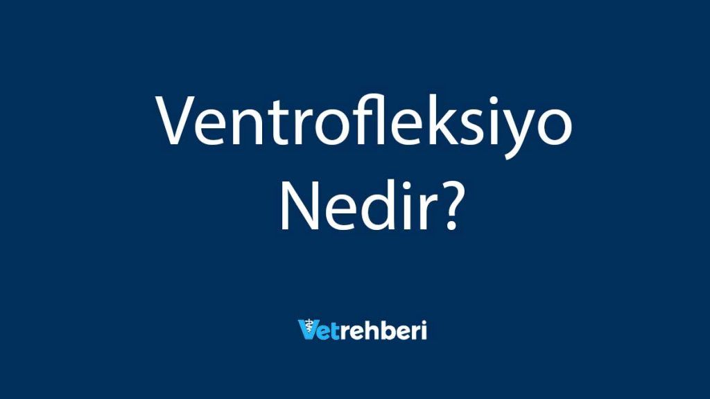 Ventrofleksiyo Nedir?