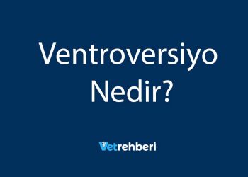 Ventroversiyo Nedir?