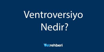 Ventroversiyo Nedir?
