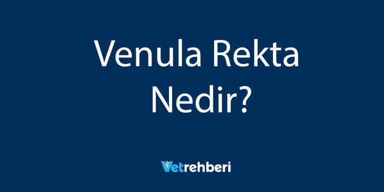 Venula Rekta Nedir?