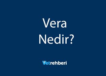 Vera Nedir?