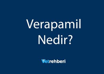 Verapamil Nedir?