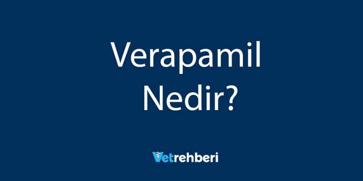 Verapamil Nedir?