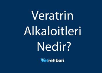 Veratrin Alkaloitleri Nedir?