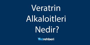 Veratrin Alkaloitleri Nedir?