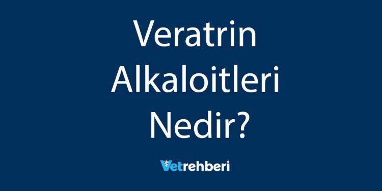 Veratrin Alkaloitleri Nedir?