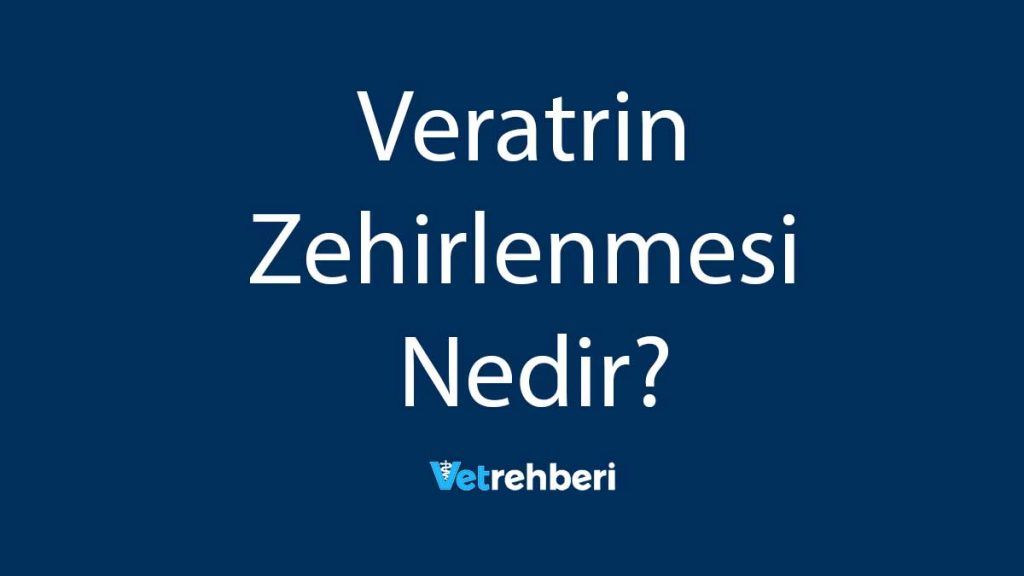 Veratrin Zehirlenmesi Nedir?